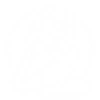 Verrassend flexibel icon
